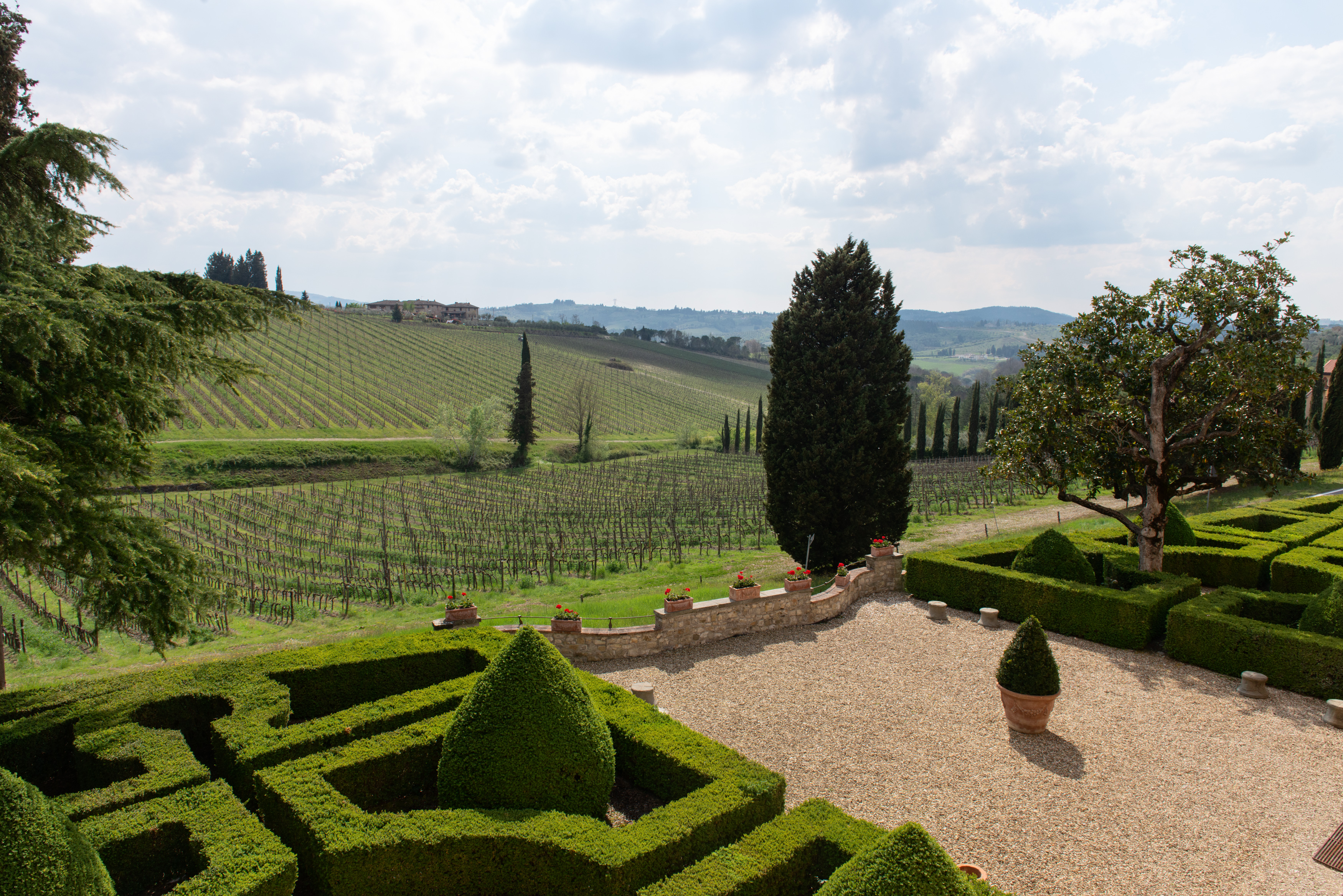 Italian garden and vineyards.jpg